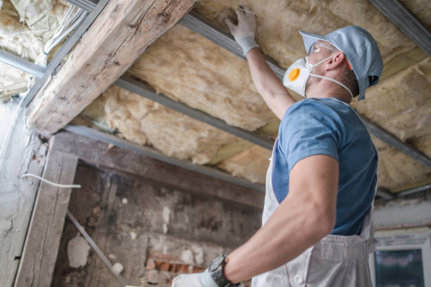 Best Insulation Installation Services in St Pauls, NC