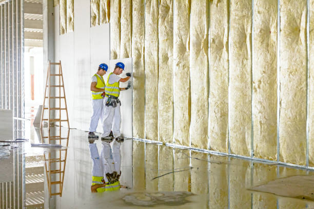 Best Types of Insulation in St Pauls, NC